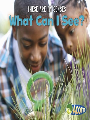 cover image of What Can I See?